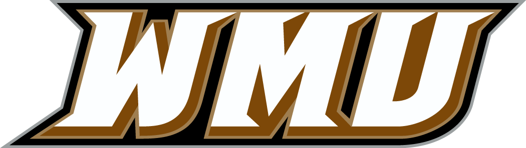Western Michigan Broncos 1998-Pres Wordmark Logo v2 DIY iron on transfer (heat transfer)